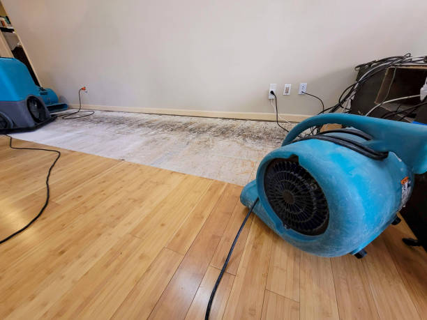 Professional Sewage Cleanup technician working in Freeport, MI